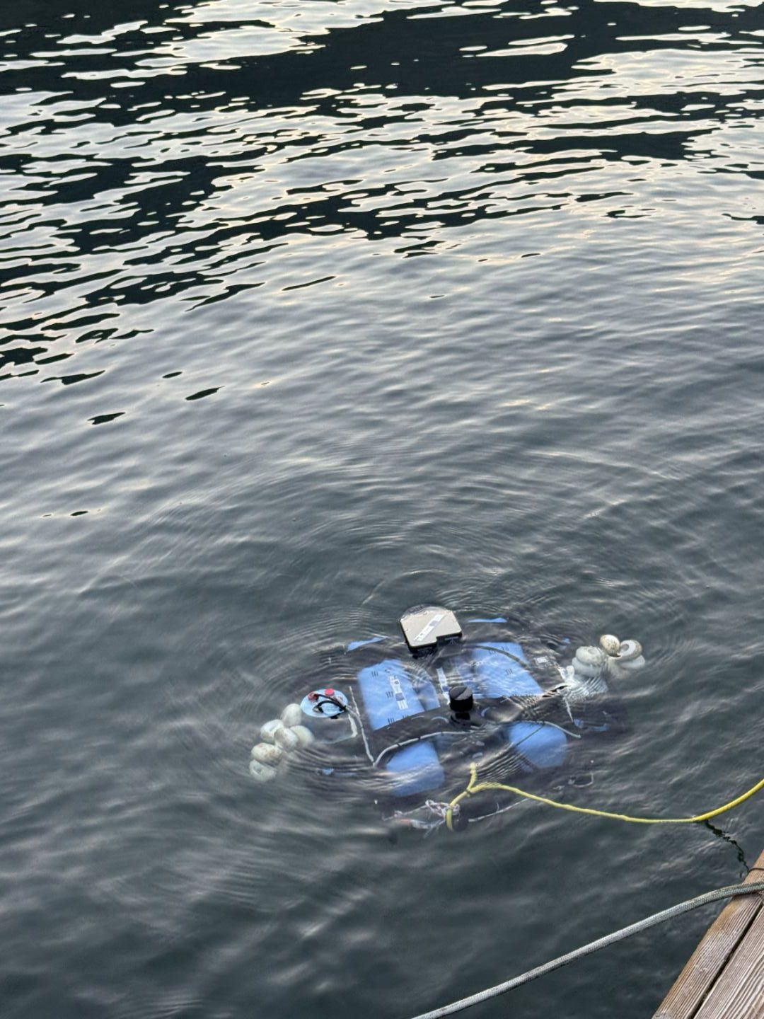 Remotely operated underwater vehicle surfacing beside the pier