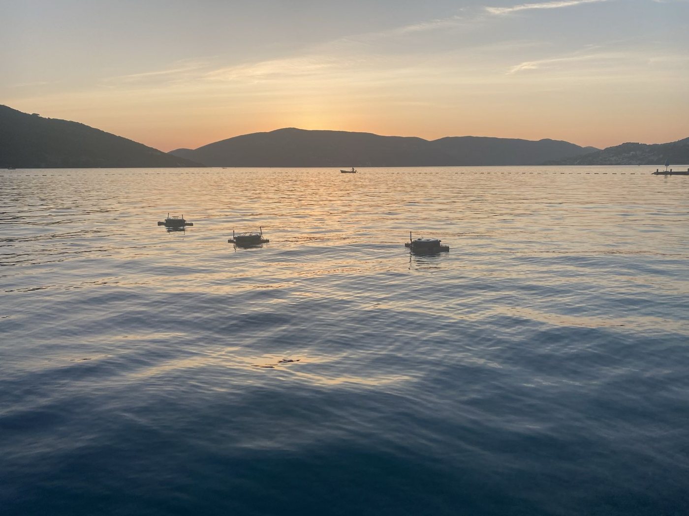 Three floating sensor nodes deployed in the bay at sunset